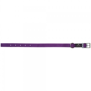 Prestige SINGLE LAYER NYLON COLLAR 3/4" x 16" Purple (41cm)